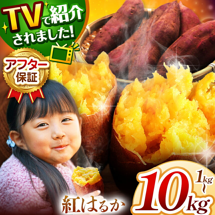 【ふるさと納税】さつまいも TVで紹介！ 【 アフター保証 】甘くておいしい！ 紅はるか ≪ 選べる 容量 ≫ 先行予約 ＜ 2025年9月中旬より順次発送予定 ＞｜ さつまいも サツマイモ 芋 いも 野菜 紅はるか べにはるか 1kg 5kg 10kg