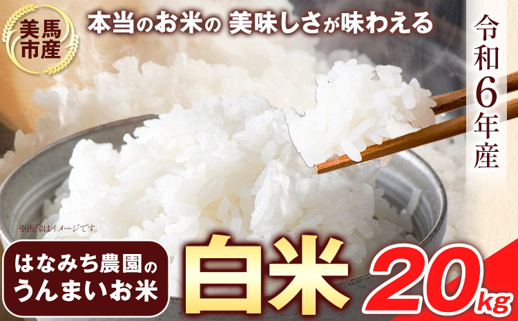 
はなみち農園のうんまいお米・白米 令和6年産 20kg 《30日以内に出荷予定(土日祝除く)》白米 美馬市産 実森ラボラトリー株式会社 自家製小麦のお店mimori 送料無料 徳島県 美馬市
