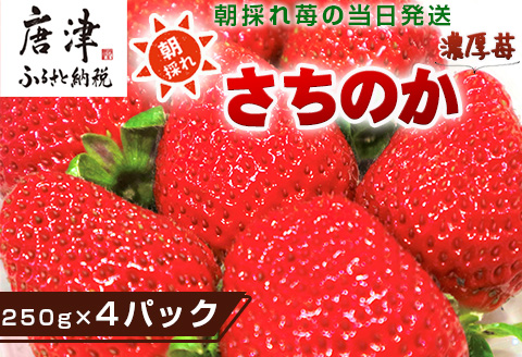 『先行予約』【令和8年2月より順次発送】濃厚苺 さちのか 250g×4パック(合計1kg) 濃厚いちご 苺 イチゴ 果物 フルーツ ビタミン