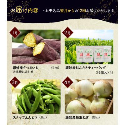 ふるさと納税 南九州市 【全12回】南九州市頴娃うまいもん定期便 |  | 01