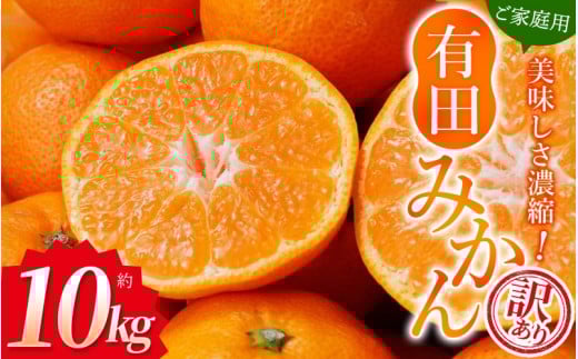 【訳あり】農家直送 有田みかん 約10kg ご家庭用 サイズ混合 ※2025年11月中旬より順次発送予定（お届け日指定不可）※北海道・沖縄・離島への配送不可　訳ありみかん 温州みかんイズ混合 訳ありみかん 温州みかん 有機質肥料100% ふるさと納税 柑橘 有田 産地直送【nuk138E】