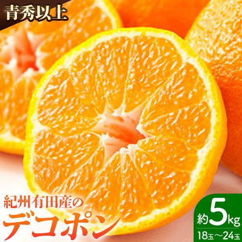 【ふるさと納税】 【お味濃厚】紀州有田産の デコポン 約 5kg(18玉〜24玉入り・青秀以上) 厳選館 《2026年2月中旬頃-3月下旬頃出荷》和歌山県 日高町 送料無料 柑橘 柑橘類 でこぽん 不知火 しらぬい デコ デコポン