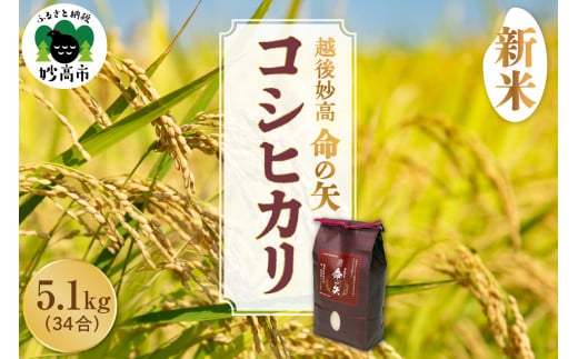 令和7年産 越後妙高命の矢 コシヒカリ 5.1kg