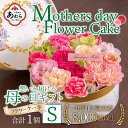 【ふるさと納税】【季節限定商品】【先行予約】フラワーケーキS Mothers day Flower Gift 花ギフト 生花 ＜母の日ギフト＞※2025年5月6日～9日の間にお届け / 母の日 プレゼント サプライズ 人気店 おしゃれ かわいい 花 アレンジメント ギフト メッセージカード付