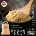 【ふるさと納税】【令和6年産 新米】コシヒカリ 玄米 5kg 特別栽培米 農薬不使用 化学肥料不使用 ／ 伊与衛門農園の特別栽培米 高品質 鮮度抜群 福井県 あわら市産 ブランド米 R6 北陸 お米