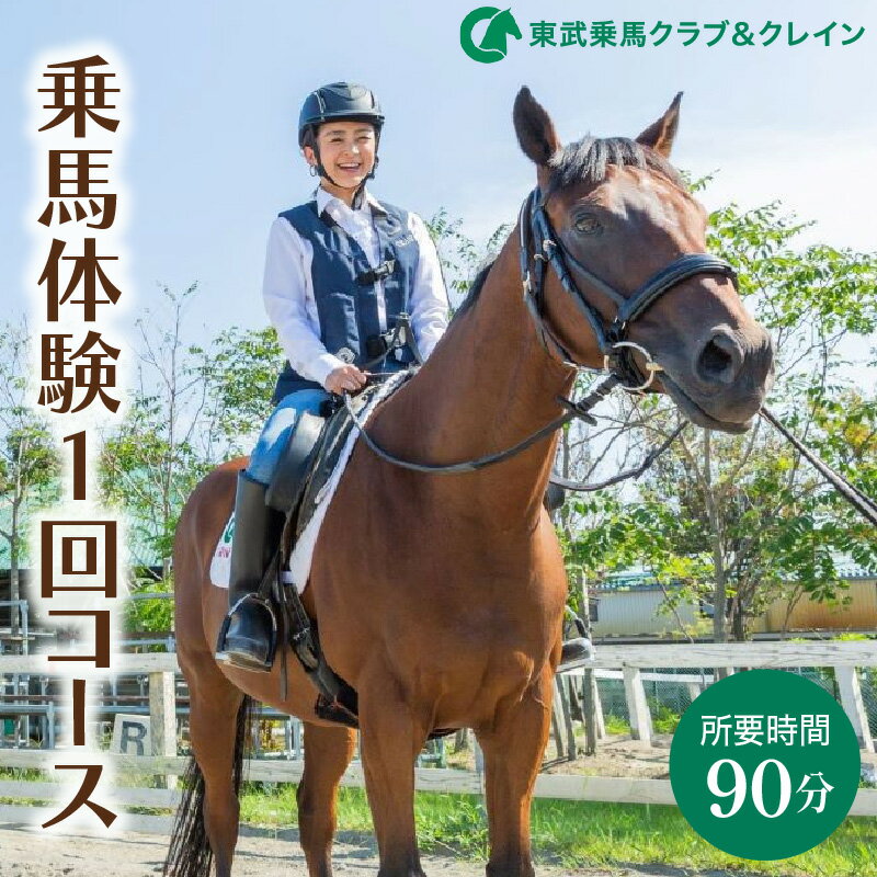 【ふるさと納税】乗馬体験1回コース 騎乗30分 所要約90分 東武動物公園内 東武乗馬クラブ＆クレイン | 初心者 マンツーマン レッスン 招待券 体験チケット 装具レンタル 保険込み 馬 アウトドア 日帰り 埼玉県白岡市 小学生から75歳 有効期限1年