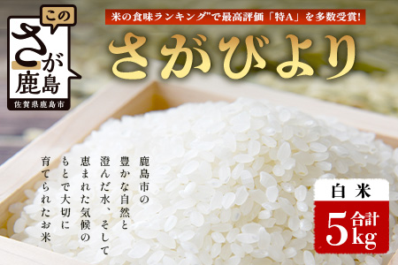 【鹿島市産】＼生産者直送／ さがびより 白米5kg　さがびより 佐賀県産さがびより 佐賀県鹿島市 お米 米 精米 玄米 ふるさと納税 お米 ご家庭用米 主食ギフト 美味しいお米 お取り寄せ 贈答用米 