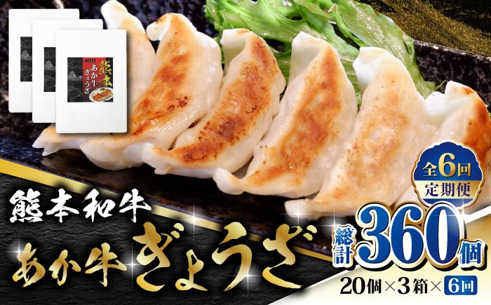 
                  【全6回定期便】熊本和牛 あか牛ぎょうざ 20個×3箱【有限会社 三協畜産】 赤牛 褐牛 あかうし 褐毛和種  冷凍 国産  餃子 ぎょうざ ギョウザ  [ZEB077]
                