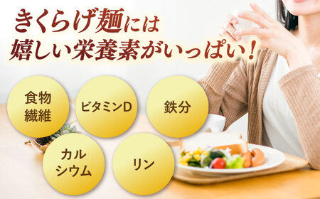 きくらげ麺(20束)　桂川町/オドラ株式会社[ADBA012]