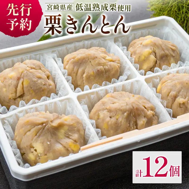 ＜2026出荷!!＞宮崎県産 低温熟成栗100%［栗きんとん］計12個 おやつ 甘い お取り寄せ【B619-26】