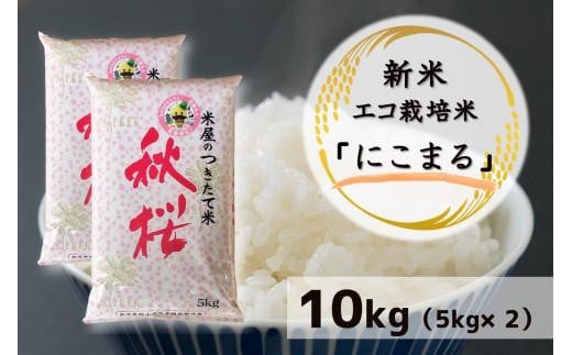 【米屋のつきたて米】新米！エコ栽培米『にこまる』10kg（5kg×2袋）