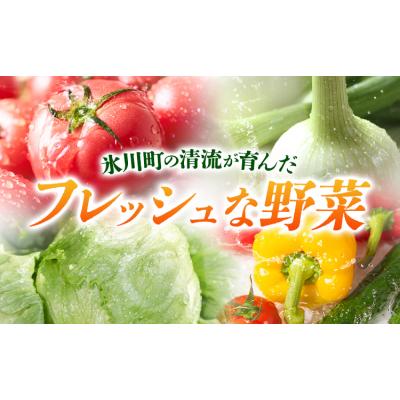 ふるさと納税 氷川町 旬の野菜・果物詰め合わせセット 10-15品 氷川町産 道の駅竜北《30日以内に出荷予定(土日祝除く