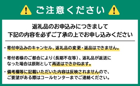 ドライフルーツ カッサータ 合計６個（アイスケーキ）