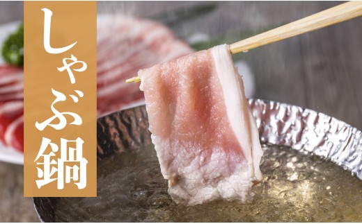 B580 《定期便》長崎県産豚 バラスライス 計1kg(500g×2) 【12回お届け】