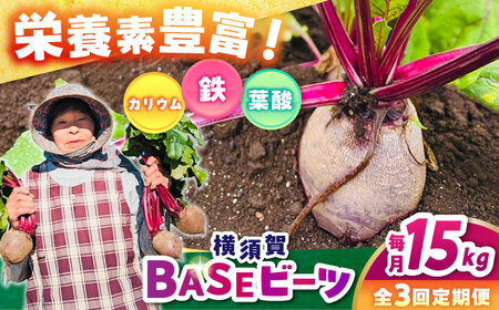 【全3回定期便】横須賀BASEビーツ 15kg（1kg×15袋）【ゆり子ファーム】[AKCR014]