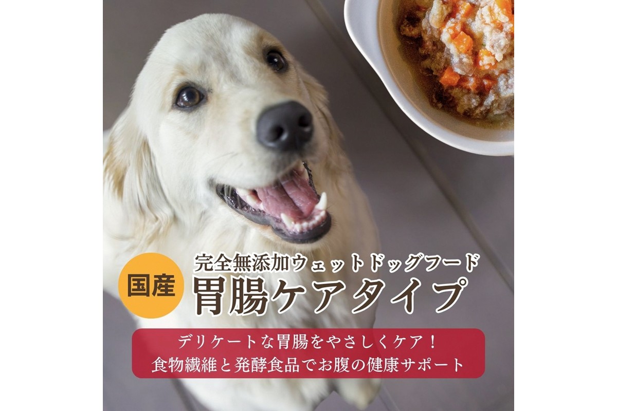 [無添加ウェットドッグフード] 胃腸ケアタイプ (5パック)