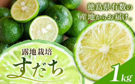 すだち 約1kg 一般財団法人さなごうち《8月下旬-11月上旬頃出荷》すだちすだちすだちすだち