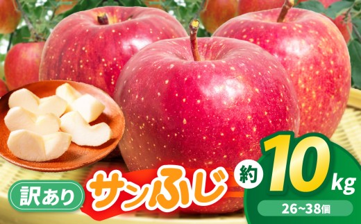 りんご 先行予約 伊那市田原産 リンゴ サンふじ 訳あり 約10kg 2026年11月中旬～発送｜りんご サンふじ 甘い 訳あり品 美味しい フルーツ 田原 伊那 伊那産 長野県 ふるさと納税【017-24】