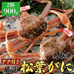 758.【活】 ≪2025年12月～2026年1月発送≫ 特撰  松葉がに 【 ブランド タグ付き 】（900g超×2杯） | カニ 松葉がに