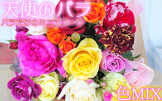 【天使のバラ】薔薇だけのミニ丈ブーケ（色MIX） ＜141-001＞
