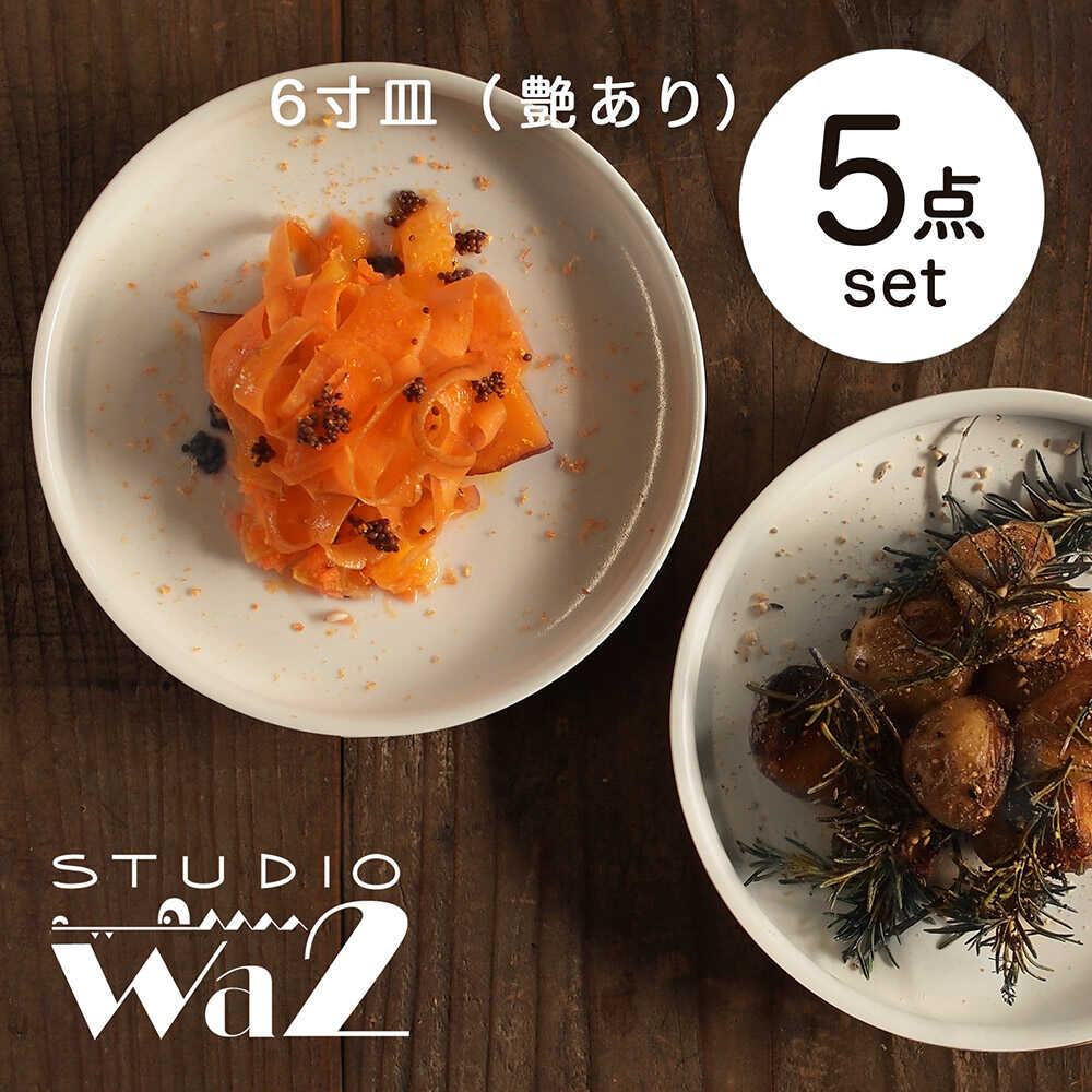 【ふるさと納税】【波佐見焼】KINU 6寸皿 5点セット（艶あり）【studio wani】[MB83]