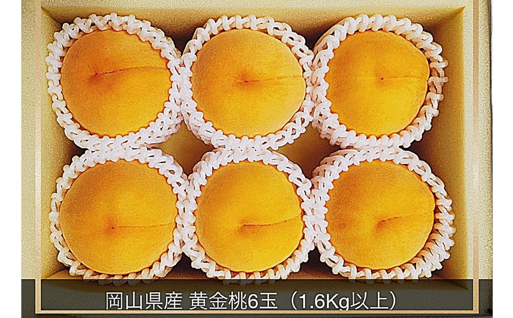 黄金桃 6玉 （1.6kg以上） 化粧箱入り 【2025年8月下旬～9月上旬まで発送予定】 ／ 黄桃 桃 もも 果物 果実 フルーツ 岡山県 美咲町 冷蔵