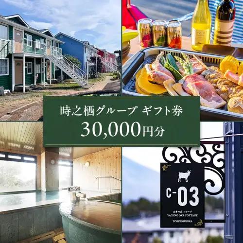 時之栖グループギフト券（30,000円分） | 宿泊券 トラベル ギフト券 利用券