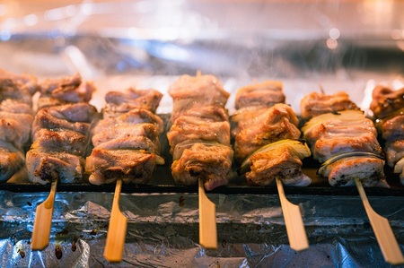 (10096) 焼き鳥 長州黒かしわ 地鶏セット もも串 ささみ串 2種16本  炭火焼 長門市 ちくぜん
