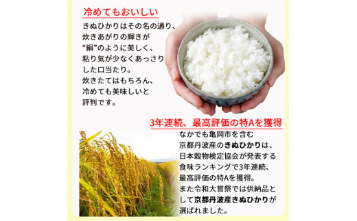 無洗米 10kg （5kg×2袋） 京都丹波産 キヌヒカリ ※受注精米《米 白米 きぬひかり 10kg 5キロ×2袋 ふるさと納税 無洗米 大嘗祭供納品種》※北海道・沖縄・離島への配送不可