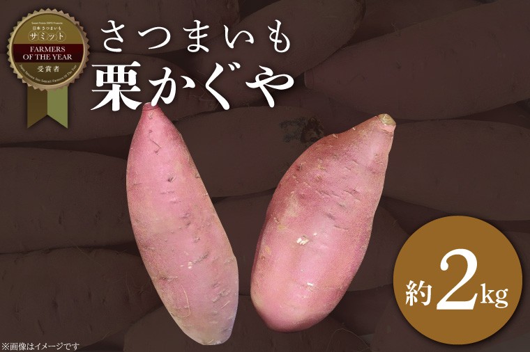 
                  【2026年11月より順次発送】2026年度産 さつまいも 栗かぐや 約2kg｜さつまいも 芋 お芋 栗かぐや 渋谷農園 茨城県 行方市(BZ-63)
                