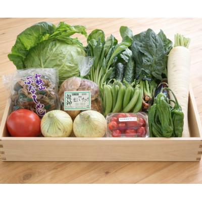 ふるさと納税 日高町 旬の新鮮野菜セット13種以上 |  | 01