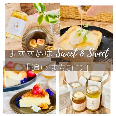 ふるさと納税 香取市 水の郷の花々から採ったそのまま「生はちみつ」 非加熱・無添加・無加工 国産純粋アカシアはちみつ |  | 03