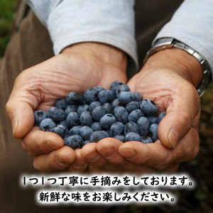 冷凍 ブルーベリー 400g (400g×1パック) 北海道産 フルーツ 果物