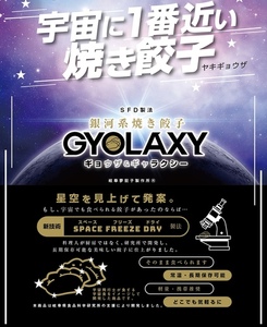 [宇宙に一番近い焼き餃子] 銀河系焼き餃子 GYOLAXY 3個入×4袋 [0322]