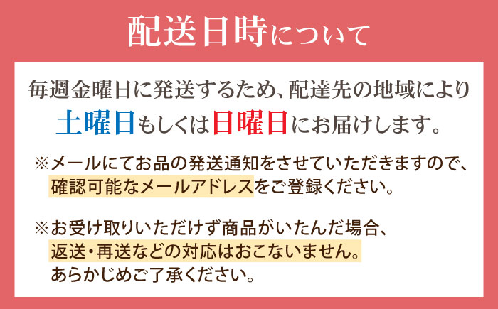 八百屋が厳選！旬のフルーツたっぷりフルーツサンド 6個セット【Fruits Sand JIRO store】 [AKFS002]