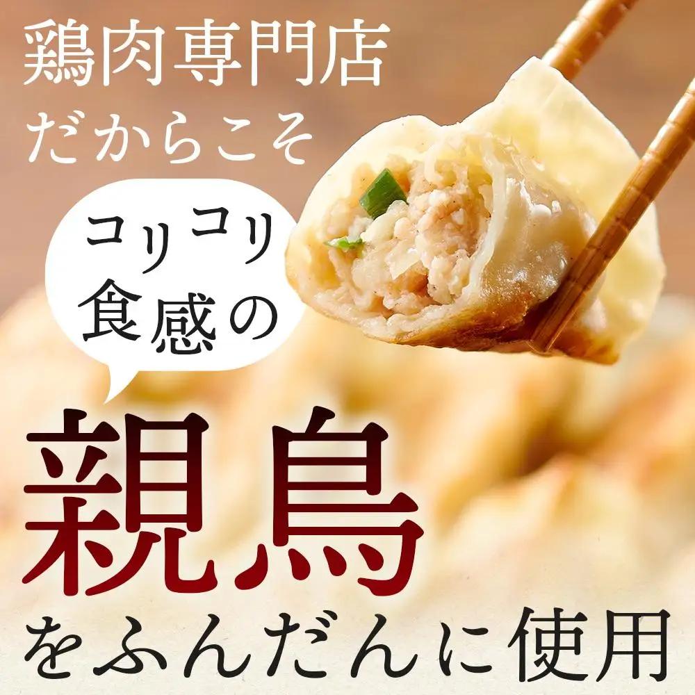 親どり専門店が作る親鳥餃子（50個×2セット）