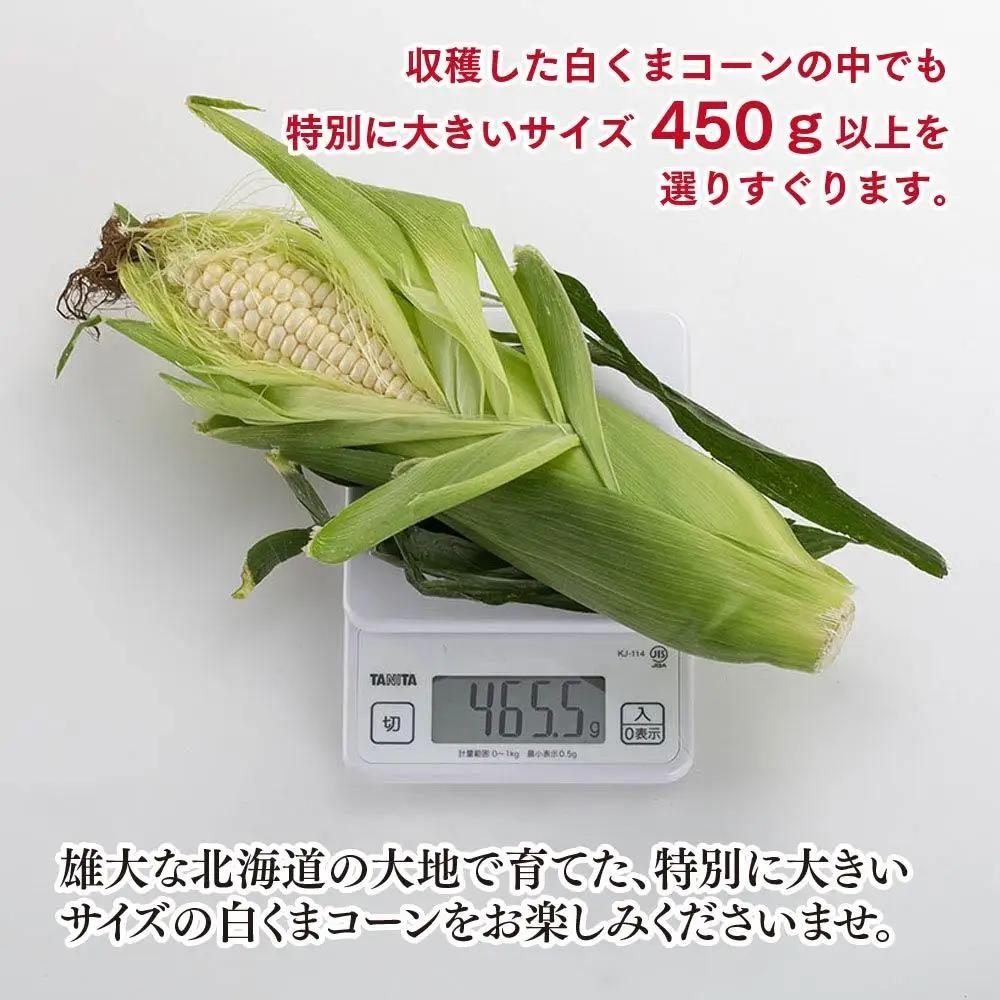 【先行予約】象もろこし（白くまコーン）大きいサイズのトウモロコシ 450ｇ以上8本入り (2026年8月下旬から発送開始) | トウモロコシ _01413