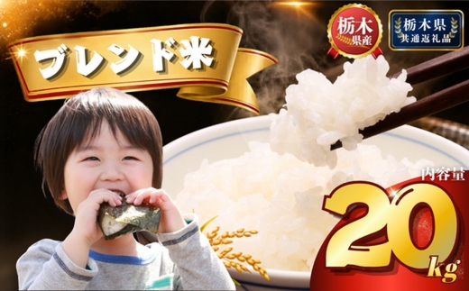 【R8年産】ブレンド米 20kg | 米 こめ 白米 精米 お米  栃木米 ブランド米 【栃木県共通返礼品 栃木県産】 栃木県 下野市 しもつけ市