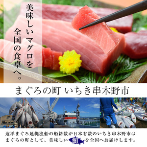 天然まぐろ4魚種赤身食べ比べセット　合計約400g【A-1657H】