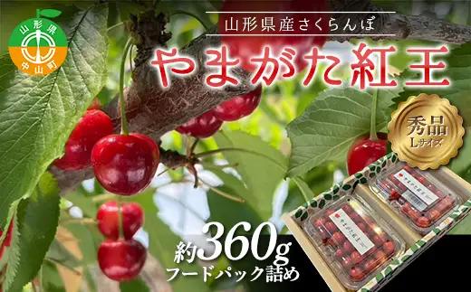 【令和8年産】山形県産さくらんぼ やまがた紅王 秀品 “Lサイズ” 約360g(約180g×2P) フードパック詰め サクランボ 果物 フルーツ チェリー F4A-1036