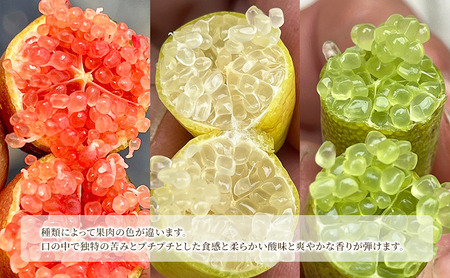 フィンガーライム 50g 森のキャビア キャビアライム フルーツキャビア