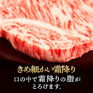 伊賀牛 焼肉 2人用 460g ヒレ サーロイン 伊賀牛