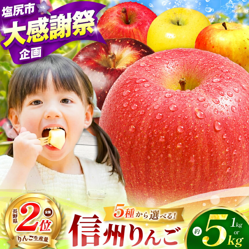 【ふるさと納税】【先行予約】長野県産 5品種から選べる！信州 エールりんご ≪ 寄附で農家さんを応援♪♪ ≫【9月末以降発送 ※品種により異なる】 | 果物 りんご リンゴ シナノゴールド シナノスイート ぐんま名月 サンふじ 訳あり 信州産 長野県 塩尻市 | 寄付額 6000円～