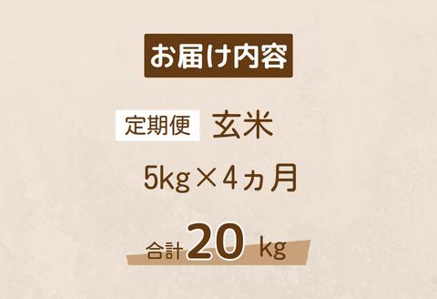 150268【令和6年産／お米定期便／4カ月】しまね川本玄米こしひかり5kg(計20kg）