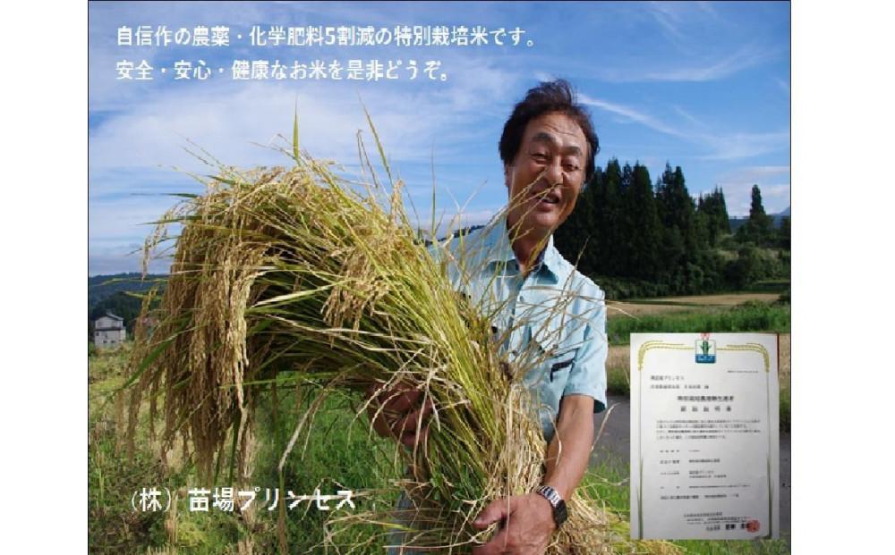 【令和8年産先行予約】【12ヶ月定期便】【農薬化学肥料5割減】魚沼コシヒカリ 苗場プリンセス 特別栽培米 精米 27kg(9kg×3袋)×12回 計324kg 127523-039