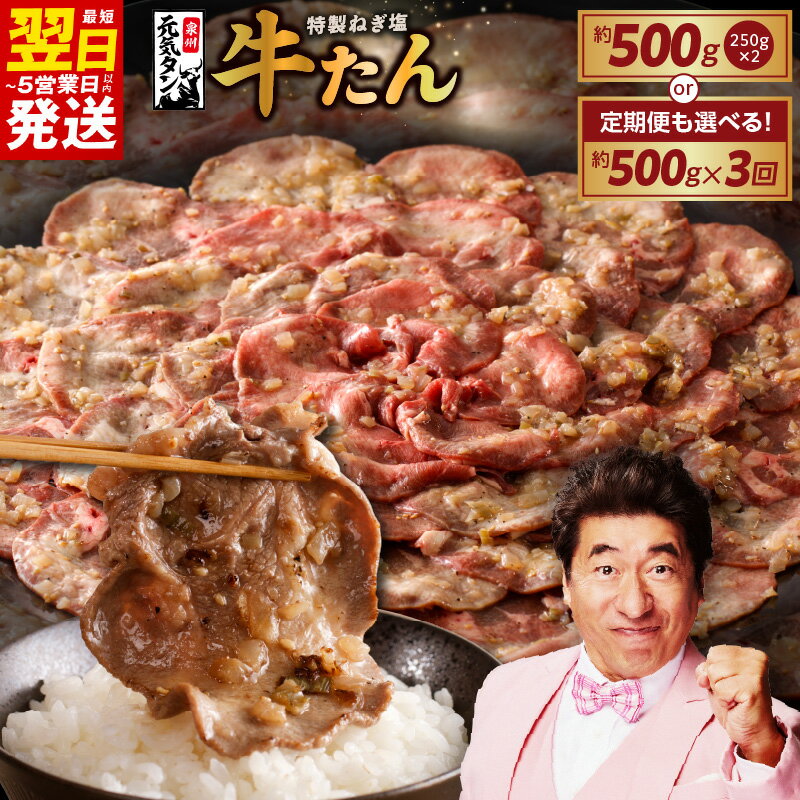 【ふるさと納税】＼最短翌日〜5営業日以内発送／ 【訳あり】 特製 ネギ塩 牛タン 発送時期が選べる 500g / 定期便 500g×全3回 毎月配送コース 小分け 牛肉 薄切り スライス サイズ 不揃い 味付け肉 たん 肉 ねぎ塩牛タン 冷凍 焼肉 BBQ 泉佐野市 送料無料 肉の泉佐野
