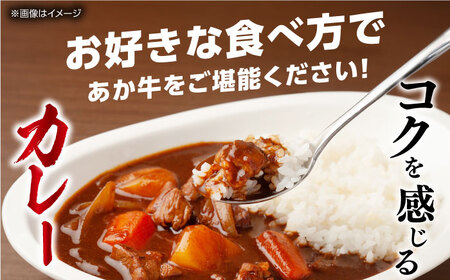 【全6回定期便】 熊本あか牛スジ 1kg 【五右衛門フーズ】 [YBZ049]