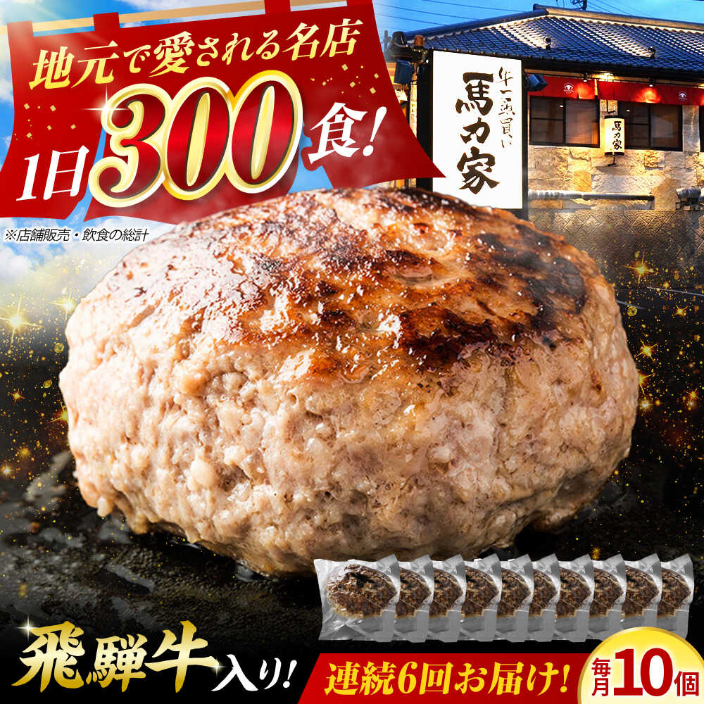 【ふるさと納税】【6回定期便】馬力家特製 超ハンバーグ 10個 / 肉 牛肉 ハンバーグ / 御嵩町 / 馬力家[AVBO070]