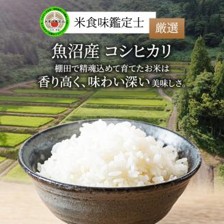 無洗米 米食味鑑定士 厳選 魚沼産 コシヒカリ 5kg 6ヶ月 連続お届け （ 米 定期便 こしひかり 定期 お米 新潟 魚沼 魚沼産コシヒカリ 魚沼産こしひかり こめ コメ おこめ 白米 お楽しみ）