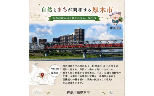 （アラビア文字）QL713＿A　天然木レトロ8角掛け時計　クォーツ ／ さんてる とけい 時計 掛時計 壁掛け 木製 木製時計 木の時計 おしゃれ オシャレ 可愛い 見やすい リビング 寝室 インテリア 雑貨 家具 神奈川県 No.1145-01